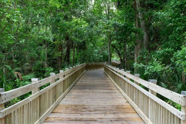 Un pont de bois avec des rambardes qui mènene vers une forêt verdoyante 