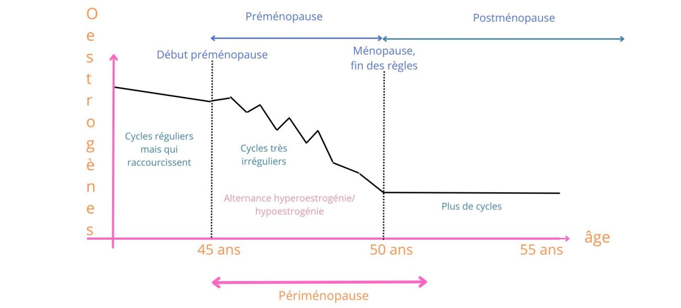 Schémas des varitaitons hormonale durant la périménopause