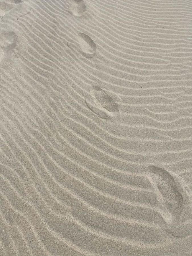 Des empreintes de pas dans le sable