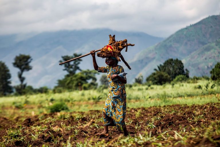 Femme africaine qui porte du bois  sur la tête